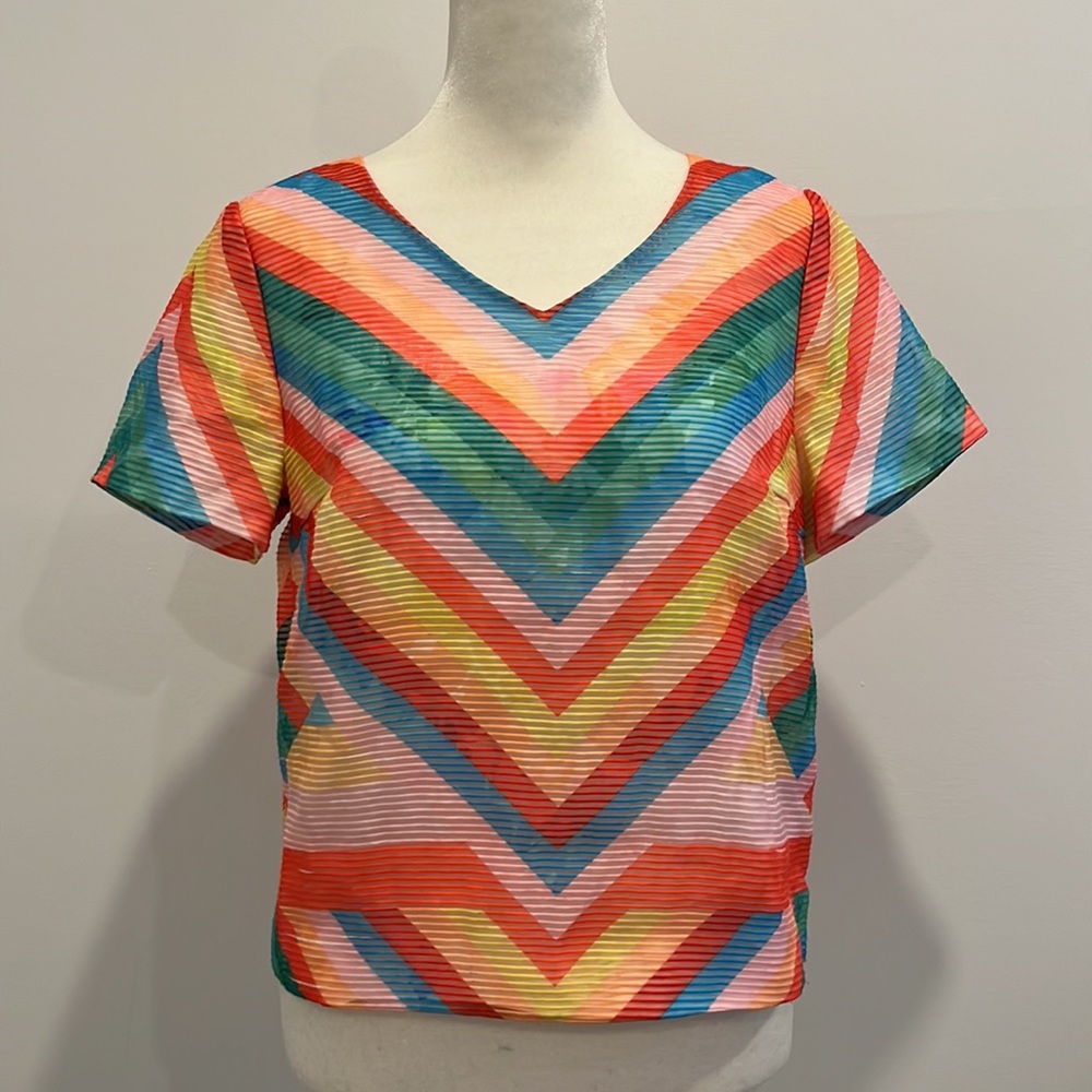 Fiona Chen Multicolor Rainbow Short Sleeve Top